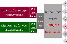 Đánh Giá Năng Lực Hsa Và Apt Là Gì