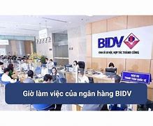 Giờ Làm Việc Của Bidv Bank