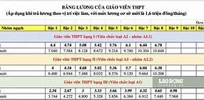 Mã Số Của Giáo Viên Tiểu Học Hạng 3 Mới