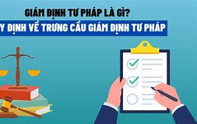 Trưng Cầu Giám Định Pháp Y Là Gì