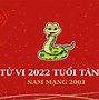 Tuổi Tân Tỵ 2001 Sinh Tháng Nào Tốt