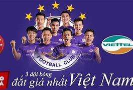 V League Việt Nam Có Bao Nhiêu Đội